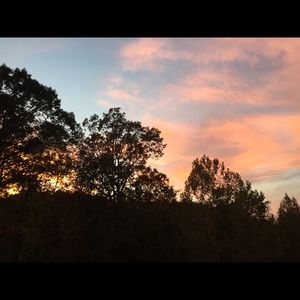 Meet your Posher, Holly nicole